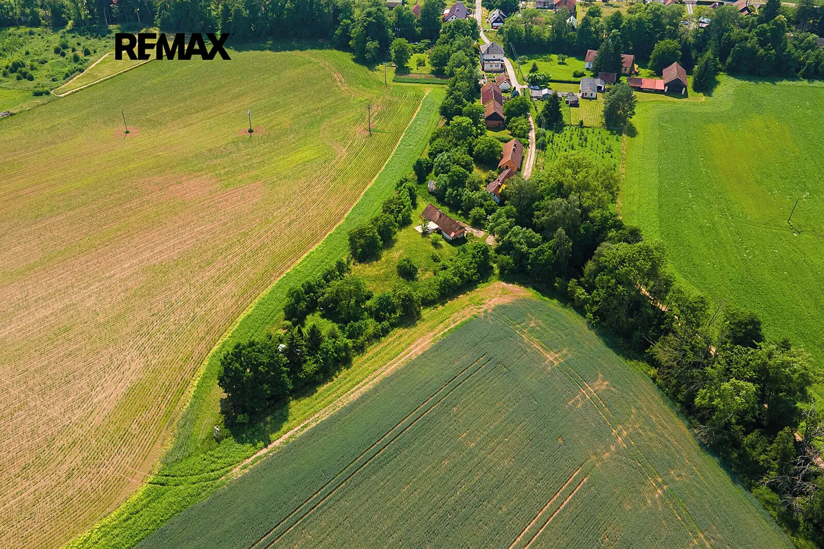 Fotka 12 z 15