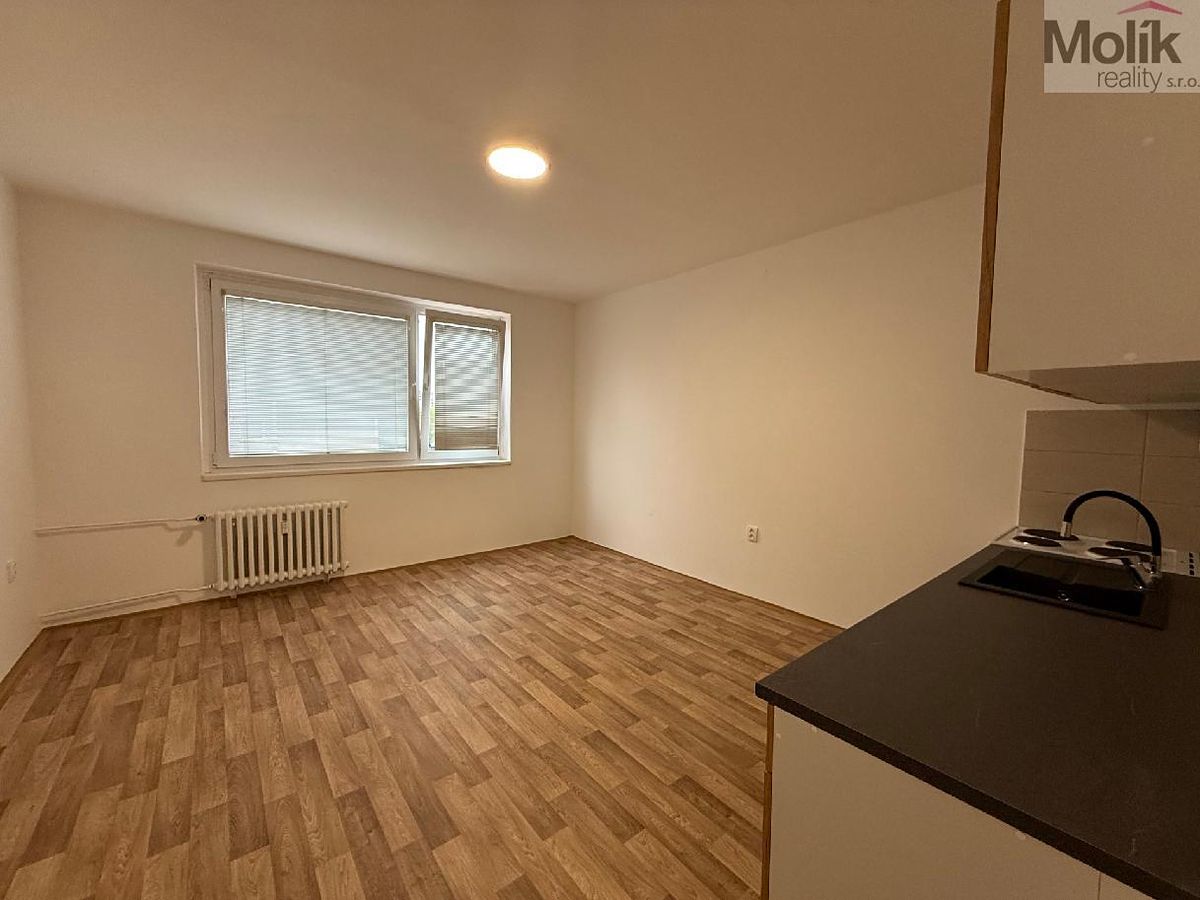 Pronájem bytu 2+kk 40 m² – fotografie 4