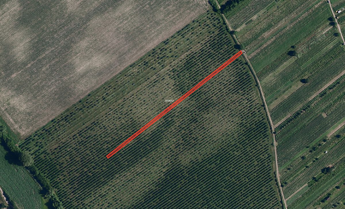 Prodej sadu, vinice 2179 m²
