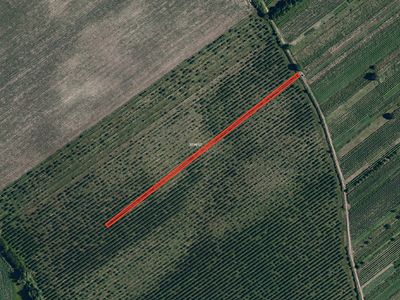 Prodej sadu, vinice 2179 m²