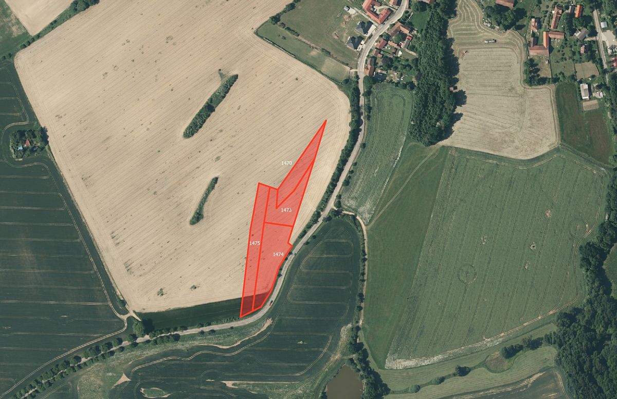 Prodej pole 35978 m², Načeradec – fotka 1 z 3