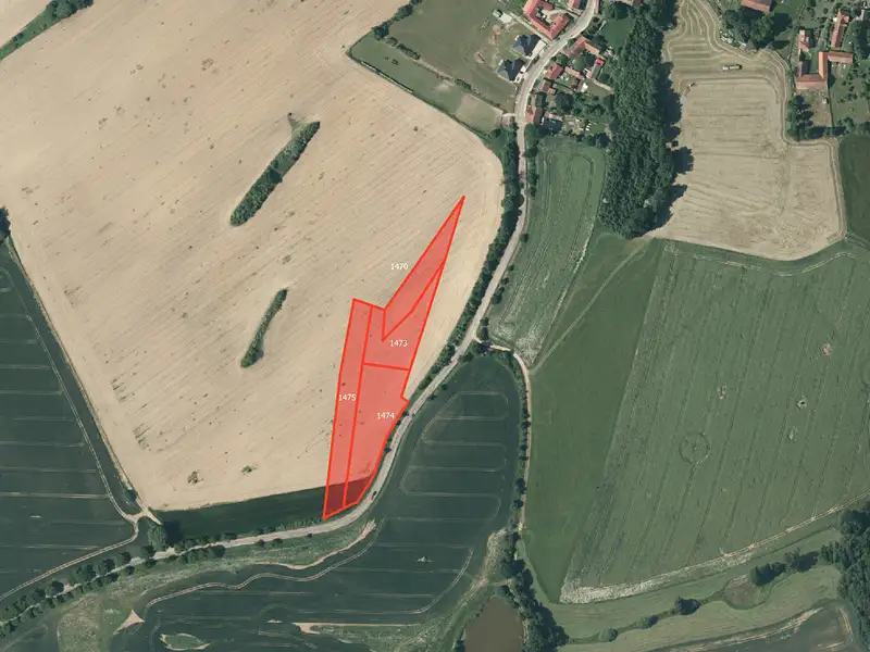 Prodej pole 35978 m², Načeradec – náhled fotky 1