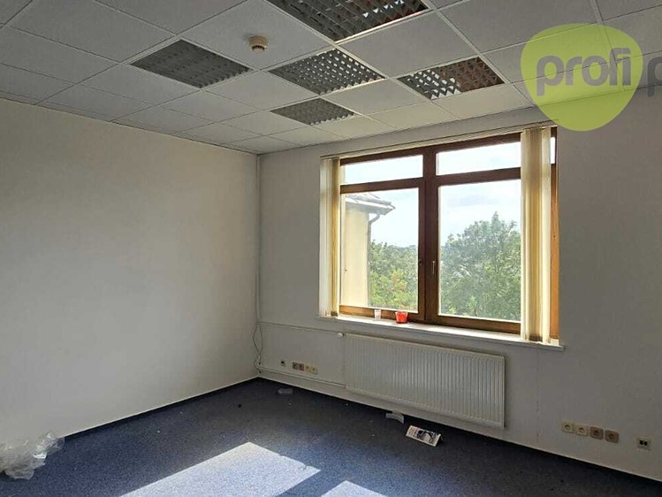 Gewerbefläche zur Miete, 21 m² (3 von 10)