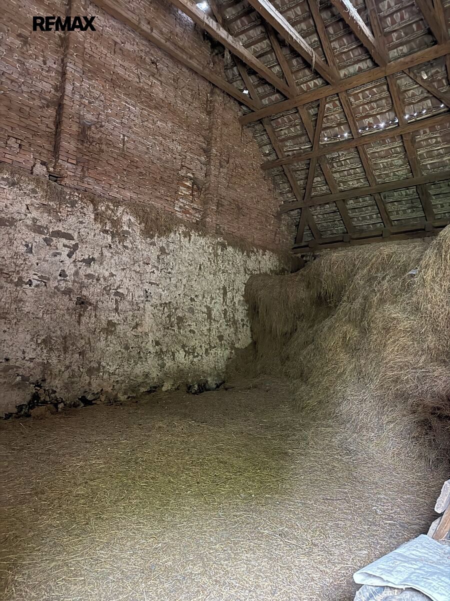 Prodej rodinného domu 230 m², pozemek 1942 m² – fotografie 3
