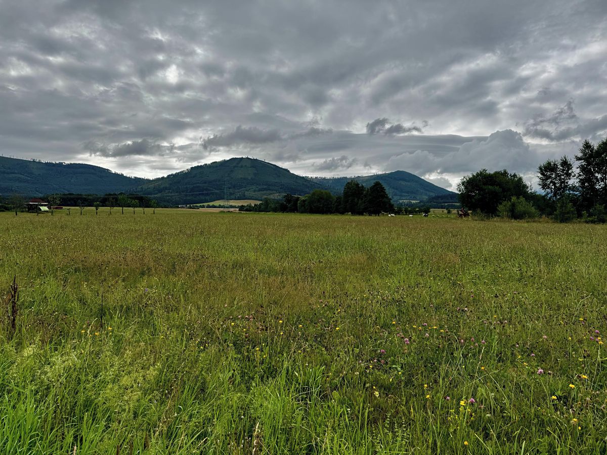 Prodej stavebního pozemku 4354 m²