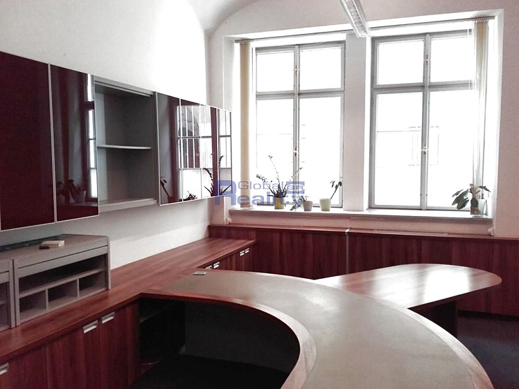 Pronájem komerčního prostoru, 20 m² (1 z 8)