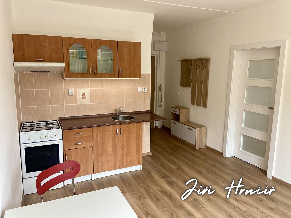 Pronájem bytu 1+1 37 m² – fotografie 4