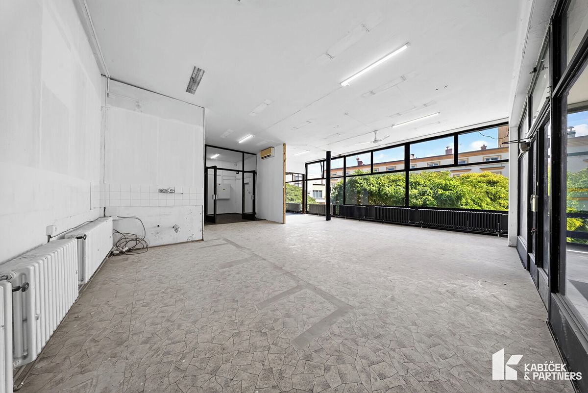 Prodej obchodního prostoru 411 m² – fotografie 4