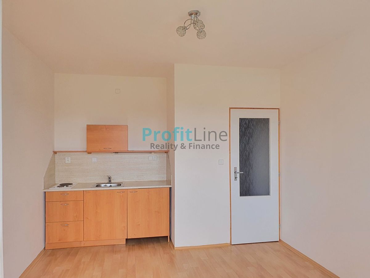 Pronájem bytu 1+kk 26 m²