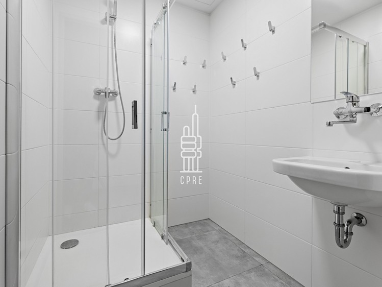Pronájem komerčního prostoru, 342 m² (9 z 10)