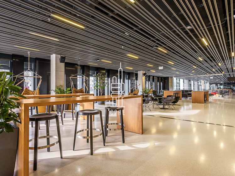 Pronájem komerčního prostoru, 844 m² (18 z 22)