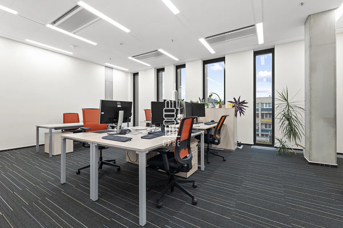 Fotka 6 z 22