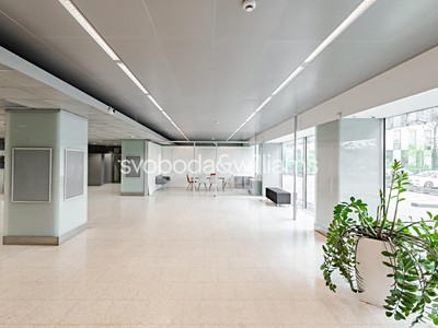 Gewerbefläche zur Miete, 515 m² (3 von 9)