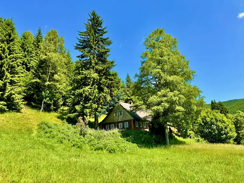 Prodej chalupy 158 m², pozemek 11957 m², Malá Úpa – náhled fotky 1