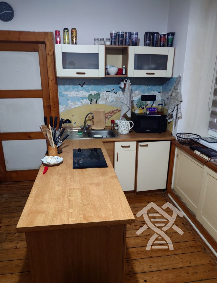 Pronájem bytu 2+kk 45 m²