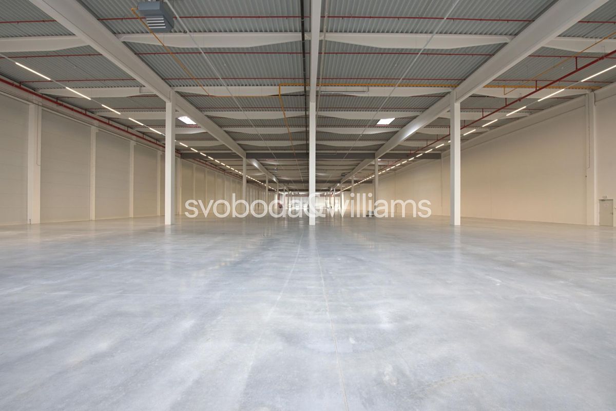 Pronájem výrobní haly, prostoru 6563 m²