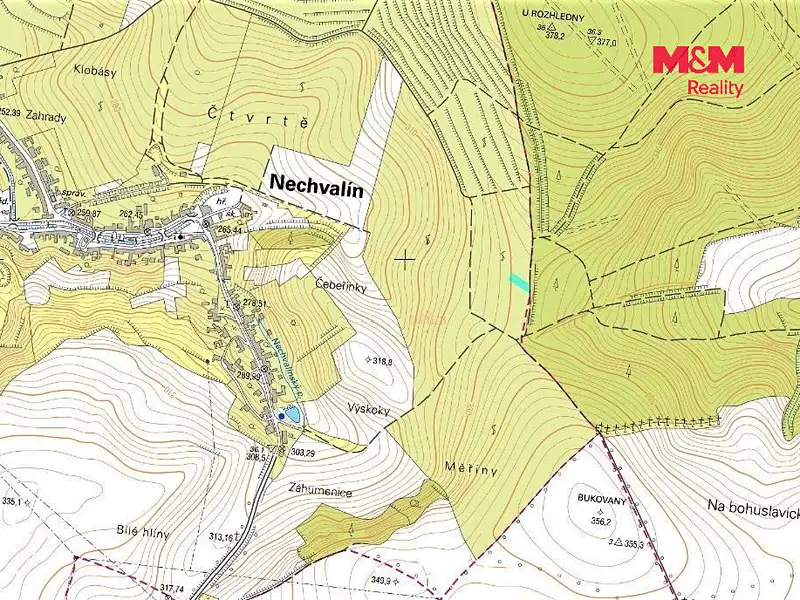 Prodej sadu, vinice 323 m², Nechvalín – náhled fotky 2