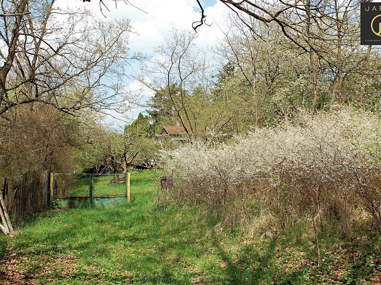 Grundstück zum Kauf, 3.055 m² (8 von 14)