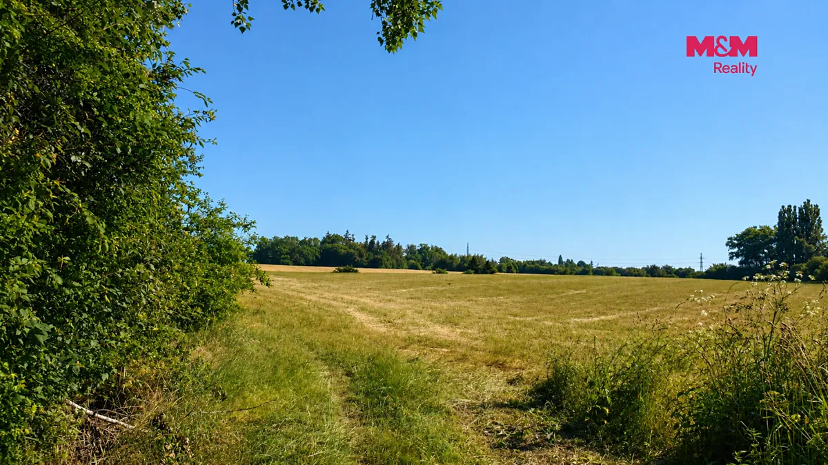 Fotka 8 z 10