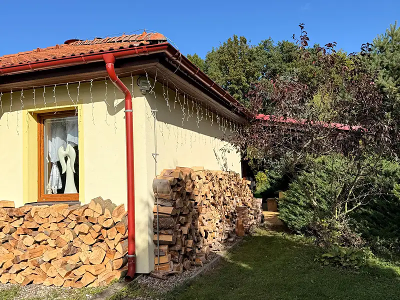 Prodej rodinného domu 140 m², pozemek 10000 m², Radonice – náhled fotky 2