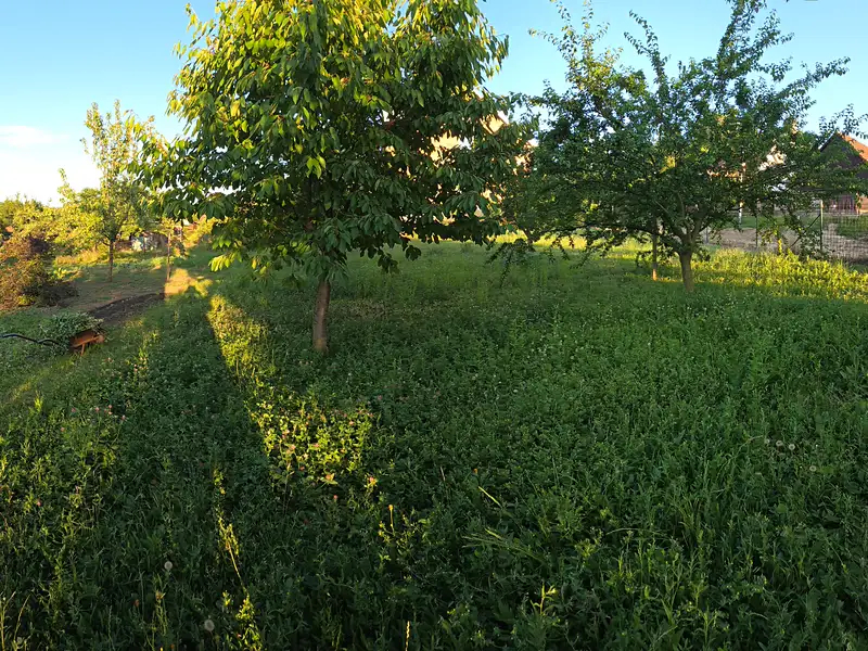 Prodej stavebního pozemku 799 m², Borkovany – náhled fotky 1