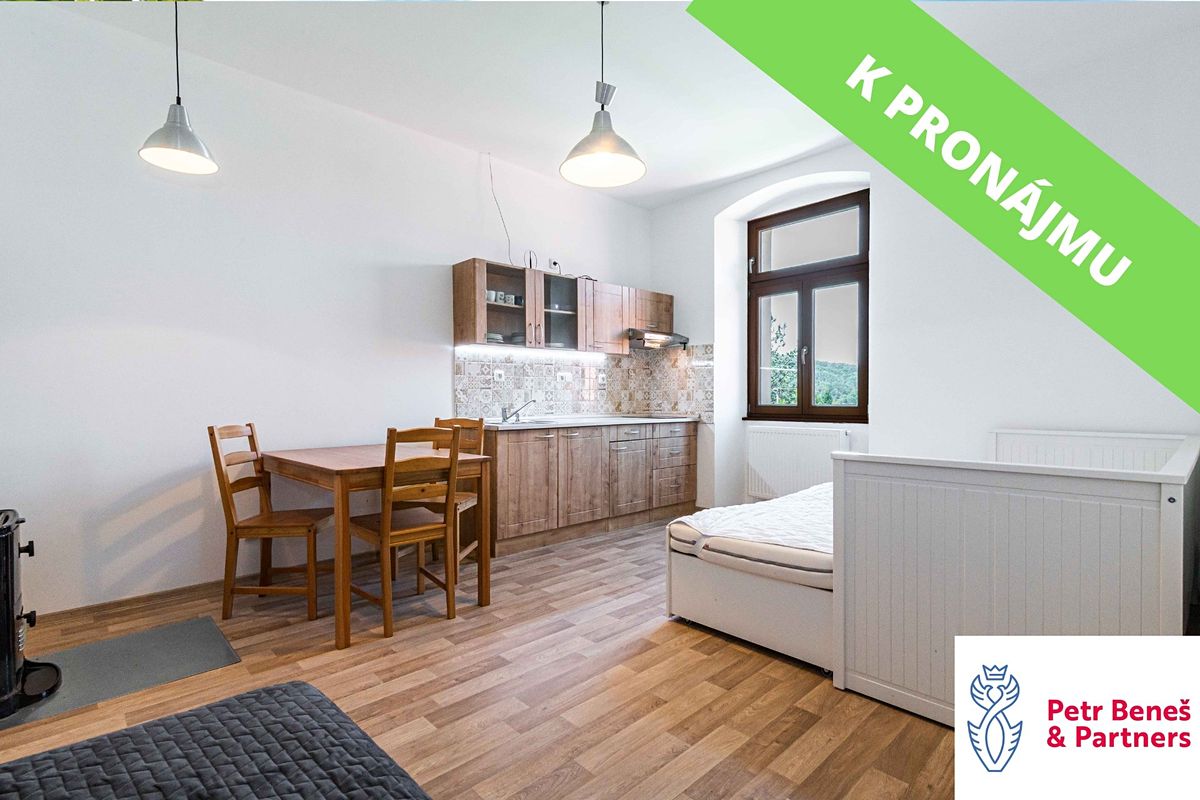Pronájem bytu 1+1 40 m²
