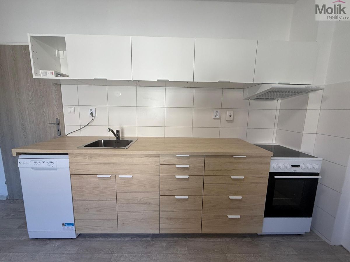Pronájem bytu 1+1 44 m² – fotografie 3