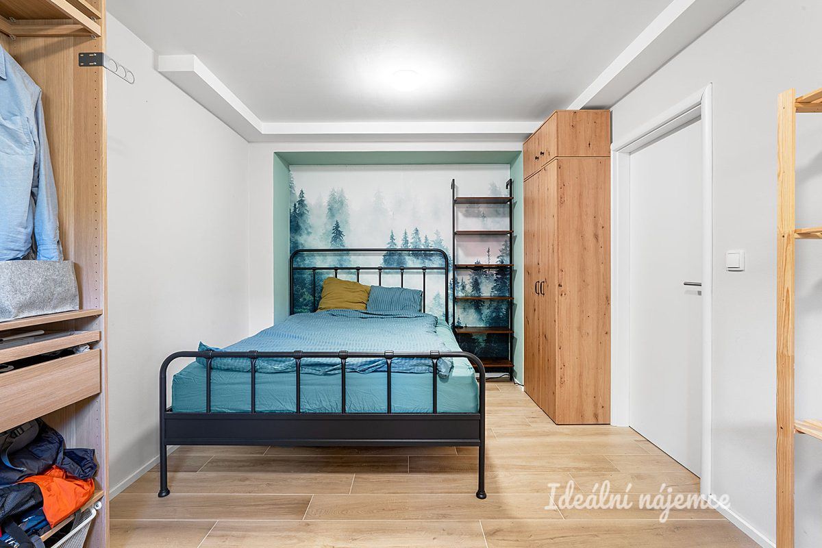 Pronájem bytu 1+kk 29 m² – fotografie 3