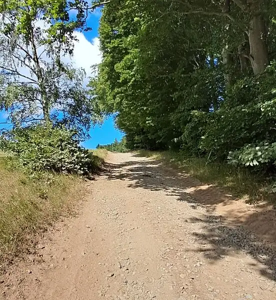 Prodej lesa 5194 m², Hlavňovice – náhled fotky 2