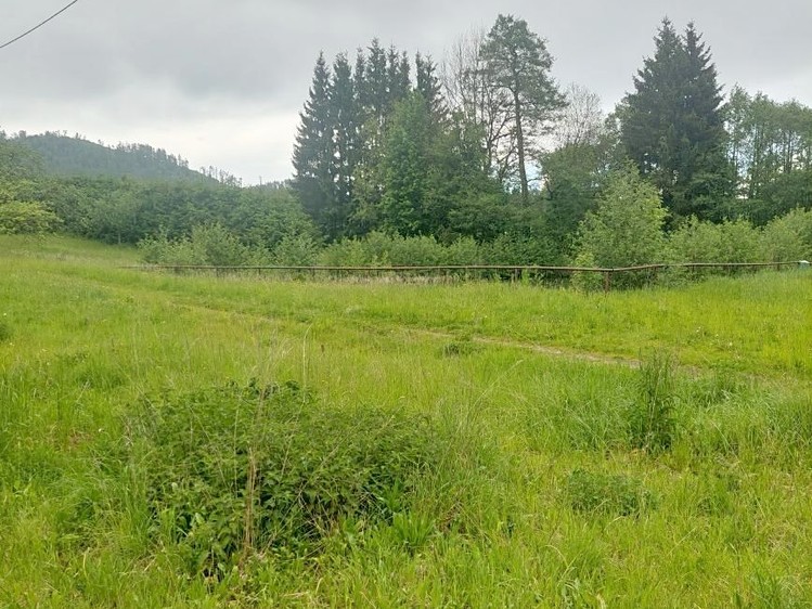 Комерційне приміщення в оренду, 520 м² (7 з 27)