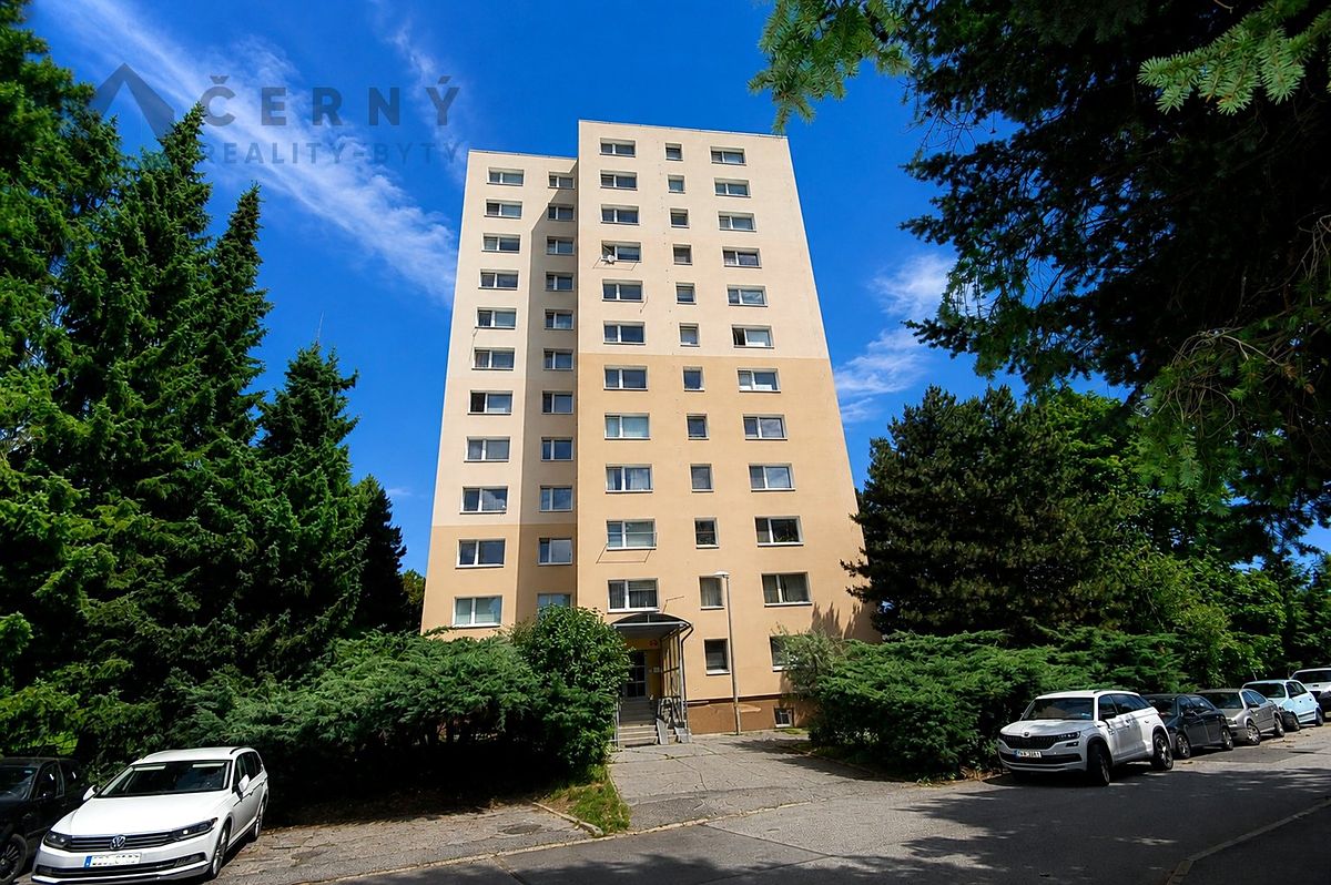 Pronájem bytu 1+1 42 m²