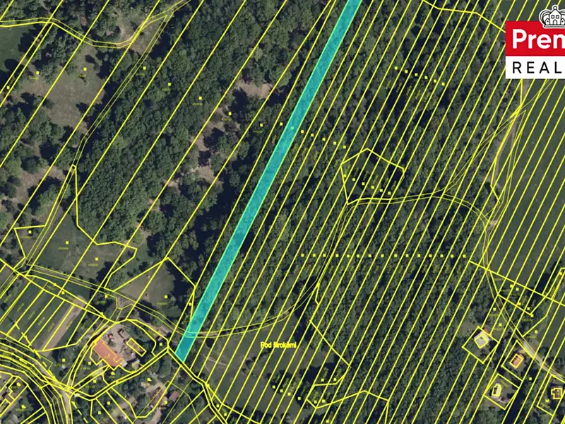 Prodej pozemku 9685 m², Nová Lhota – náhled fotky 1