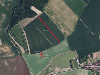 Prodej pole 3845 m²