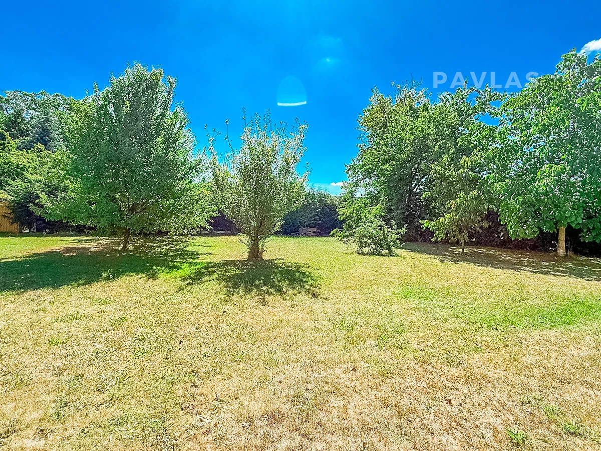 Fotka 14 z 18