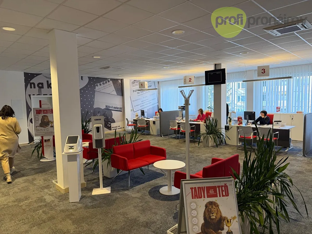 Pronájem obchodního prostoru 260 m²