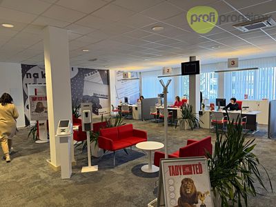 Pronájem obchodního prostoru 260 m²