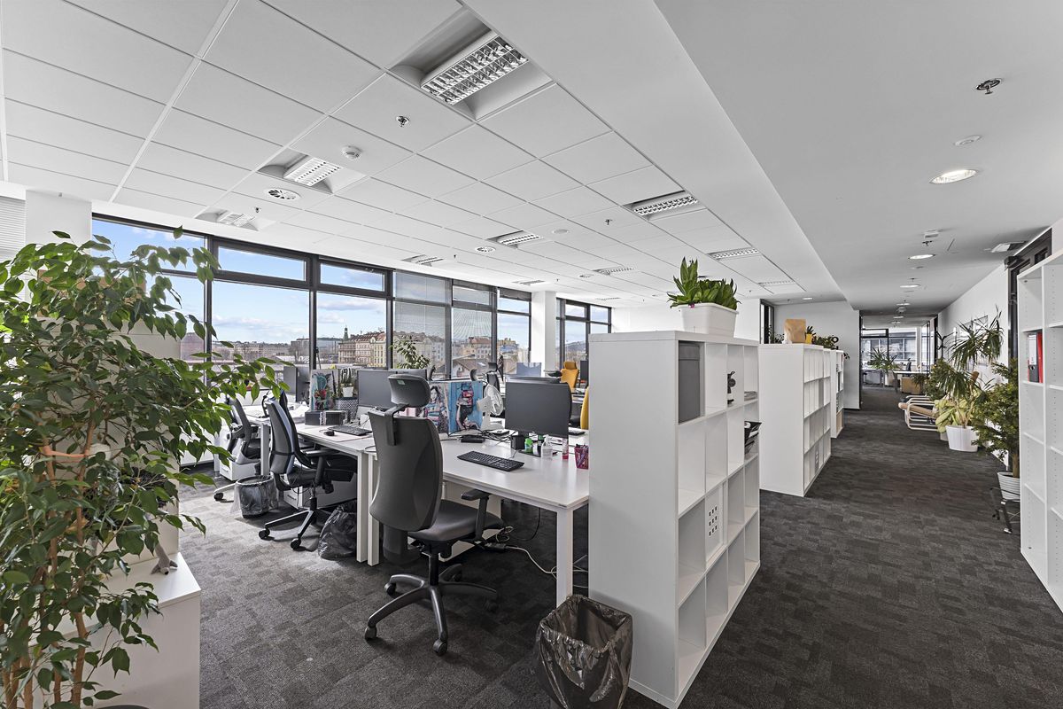 Pronájem kanceláře 353 m² – fotografie 5