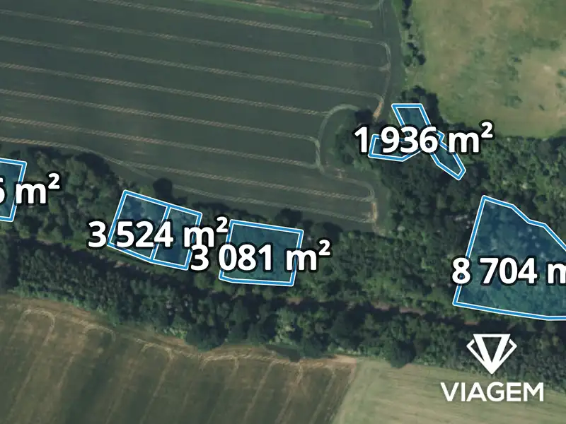 Prodej lesa 6304 m², Katusice – náhled fotky 3
