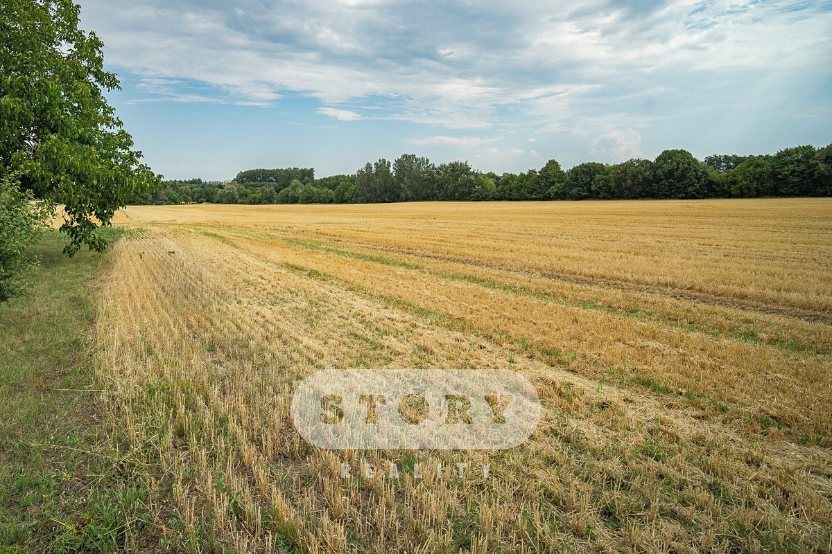 Prodej pole 4759 m²