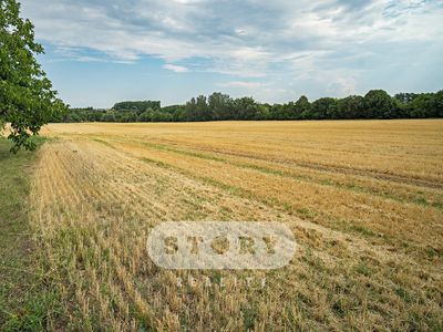 Prodej pole 4759 m²