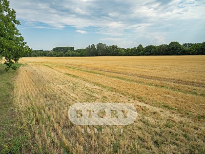Prodej  pole 4 759 m²