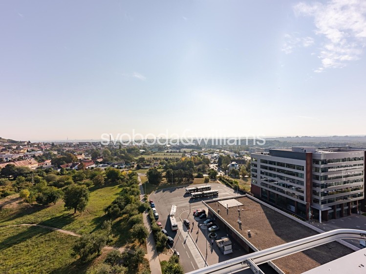 Pronájem komerčního prostoru, 898 m² (10 z 14)