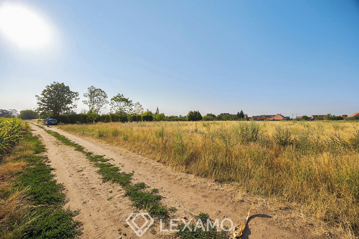 Prodej zahrady 3930 m² – fotografie 3