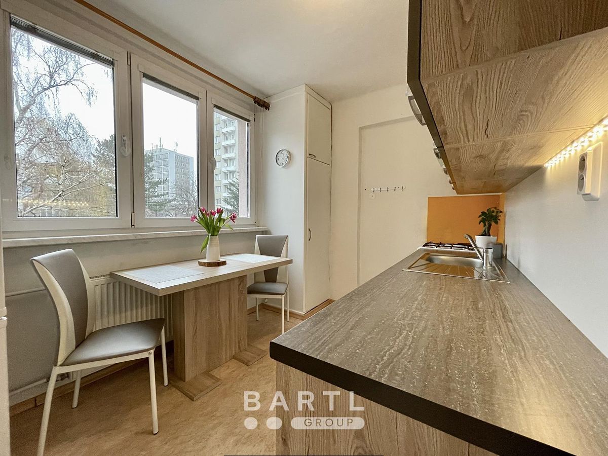 Pronájem bytu 1+1 35 m²