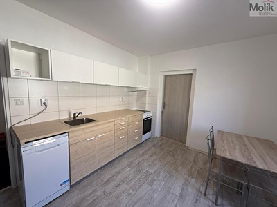 Pronájem bytu 1+1 44 m²