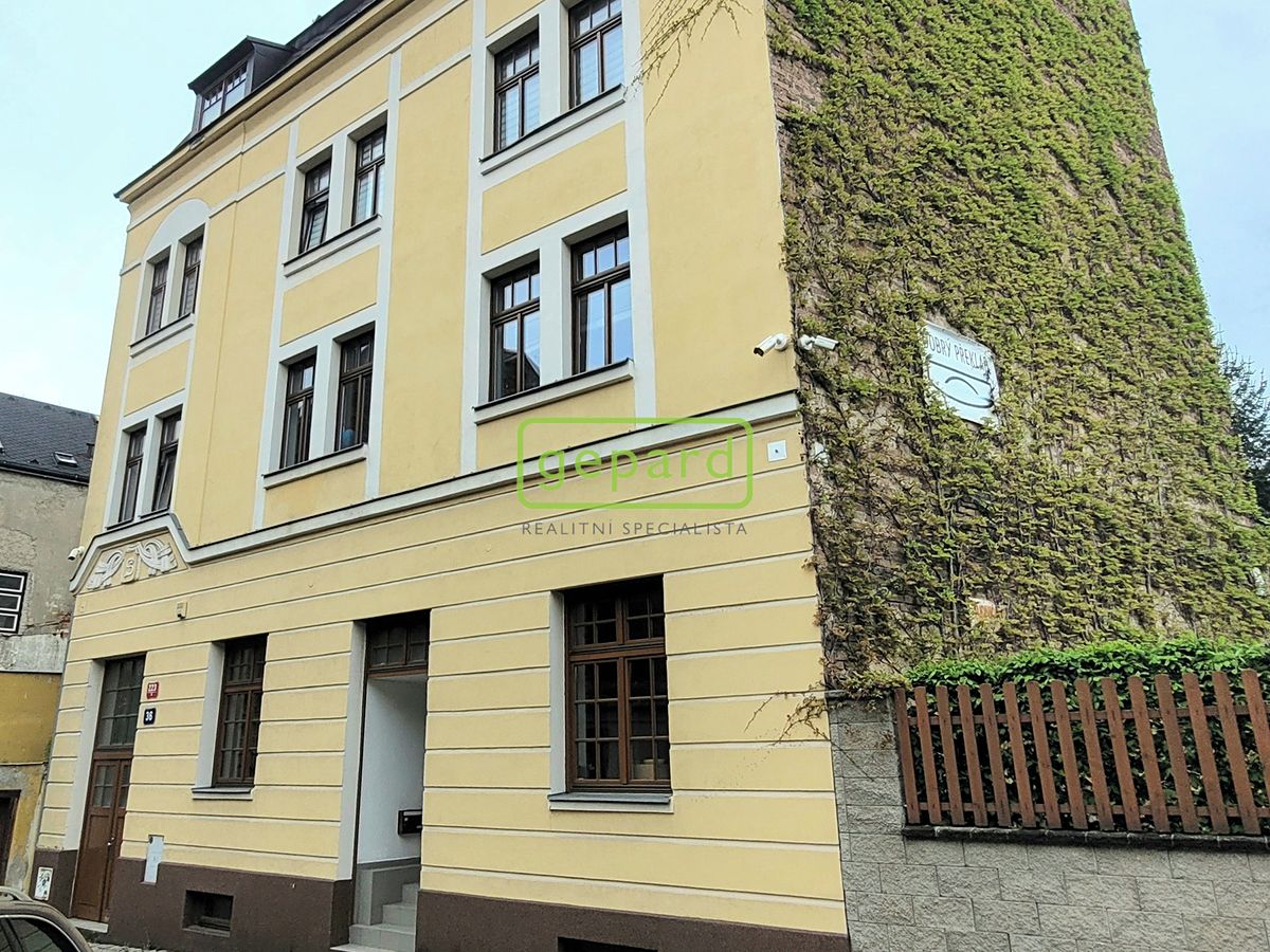 Pronájem bytu 2+1 66 m²