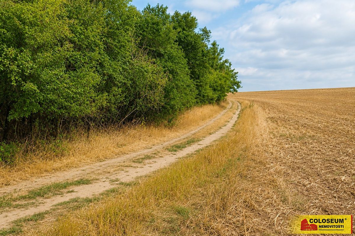 Prodej pole 8295 m² – fotografie 3