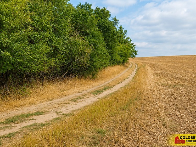 Ostatní
