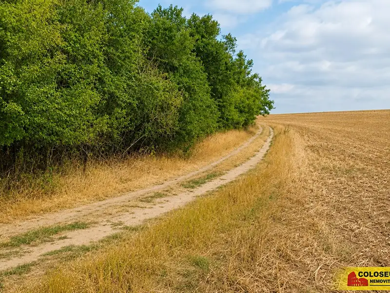 Prodej pole 8295 m², Dyje – náhled fotky 3
