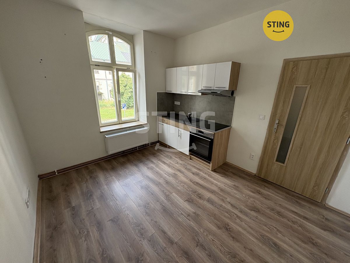 Pronájem bytu 2+kk 55 m²